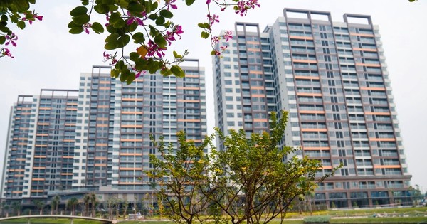 Tưởng rằng khách hàng không có tiền khi thị trường khó khăn nhưng chuyện “bất ngờ” đã xảy ra với phân khúc căn hộ trung cấp
