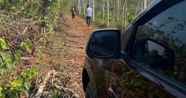 Mua 3 nền đất chỉ bằng giá 2 nền của năm trước, nhà đầu tư gặp “hàng đẹp” là xuống tiền ngay!