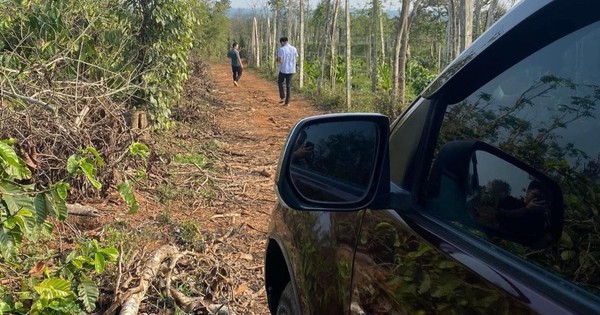 Nhà đầu tư bất động sản “chạy đôn, chạy đáo” rao bán bất động sản cắt lỗ để lấy tiền đáo hạn ngân hàng