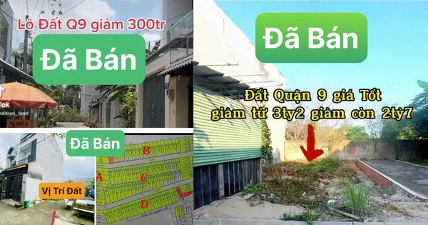 Cứ nền nào “ngộp sâu” là hết hàng nền đó