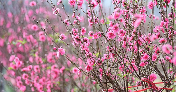 Xông đất đầu năm cần lưu ý gì?