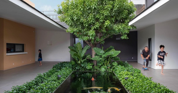 Cách bố trí tường thông minh giúp nhà cấp 4 có chỗ trồng cây, nuôi cá