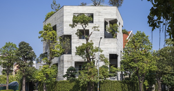 Biệt thự triệu đô hoá thành “rừng cây mini” ven biển Hạ Long