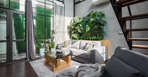 Biến sân phơi cũ thành chỗ cực “chill”, cô gái trẻ ung dung thu 60 triệu mỗi tháng