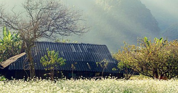 Lý do Sơn La đề xuất xây thêm sân bay Mộc Châu?