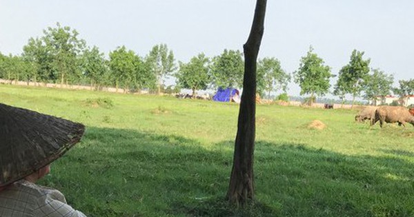 Nhiều quy định đột phá