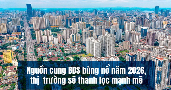 Năm 2026, nguồn cung chung cư ồ ạt đổ bộ, giá chạm đỉnh rồi “đứng im”…nhà đầu tư nên làm gì?