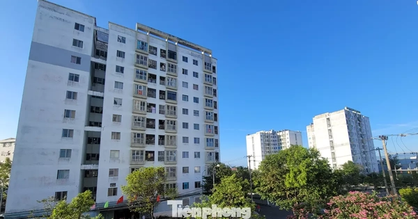 Giá thuê căn hộ tại Đà Nẵng tăng cao , người lao động chật vật trong năm 2026