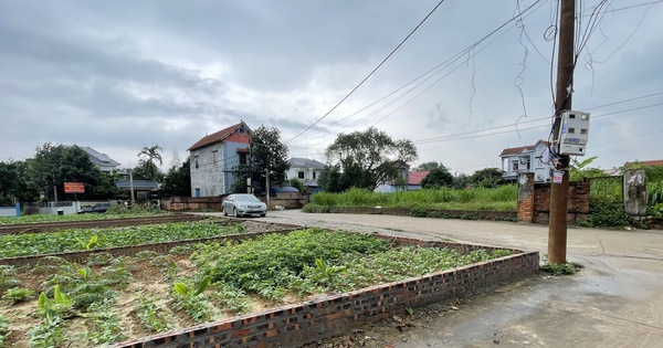 Anh hướng dẫn viên du lịch 27 tuổi đầu tư bất động sản lãi 40 lần tại Sóc Sơn