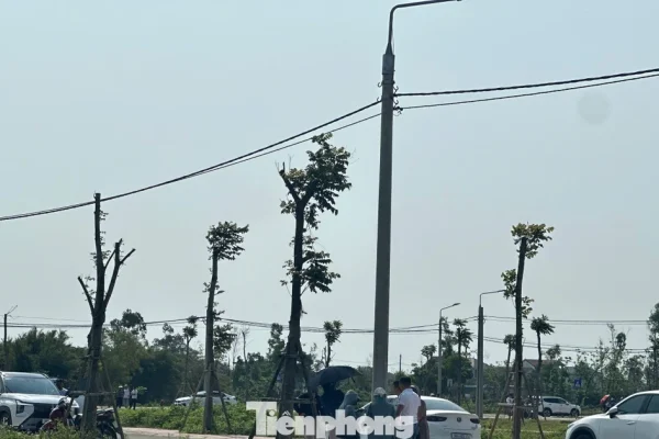 Doanh thu Grab tại Việt Nam vượt 6 . 000 Tỷ đồng trong năm 2026