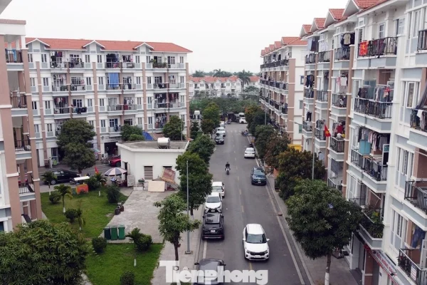 Nhiều vi phạm tại 3 dự án nhà ở xã hội Hải Phòng năm 2026