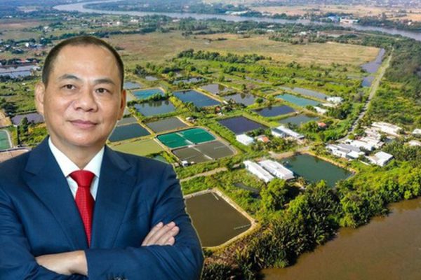 Vinhomes và VIG triển khai đại đô thị 90 . 000 Tỷ tại Tây Ninh gần TPHCM