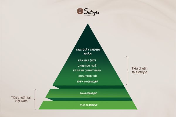 Soféyia – Thương hiệu nội thất tùy chỉnh tái định vị tầm nhìn thương hiệu
