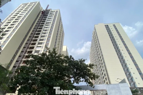 Chủ đầu tư nhà ở xã hội được miễn giấy phép xây dựng