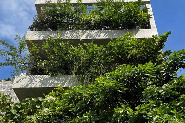 TAA OFFICE: Nhà Hộp Rỗng – Khu rừng giữa đô thị