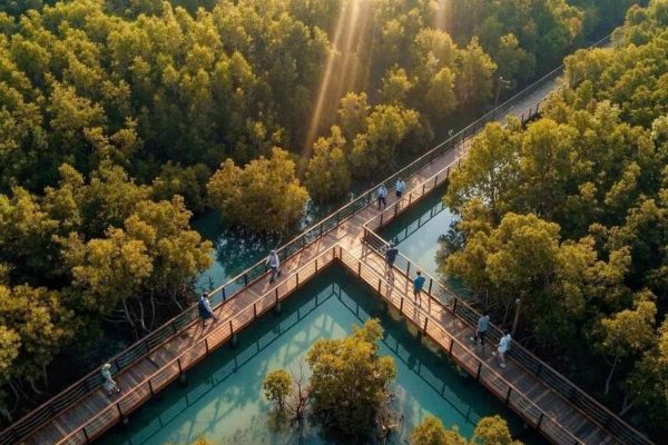 Ông Phạm Nhật Vượng xây công viên câu cá rừng ngập mặn 800 ha rộng gấp 4 lần ở Singapore