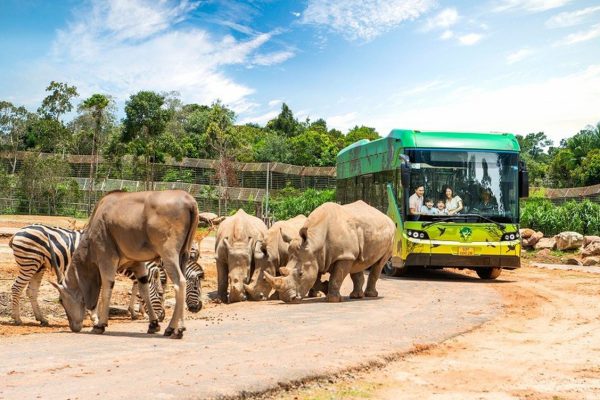 Sun Group đề xuất làm vườn thú safari hơn 580ha, vốn 10.000 tỷ đồng tại Ba Vì